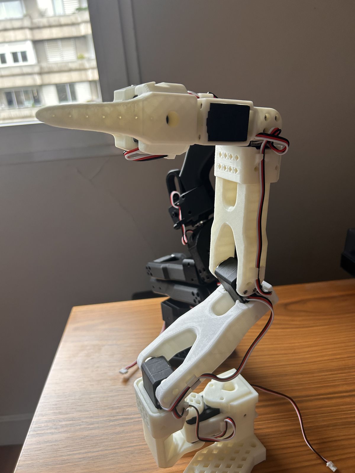 The white follower arm standing by the window